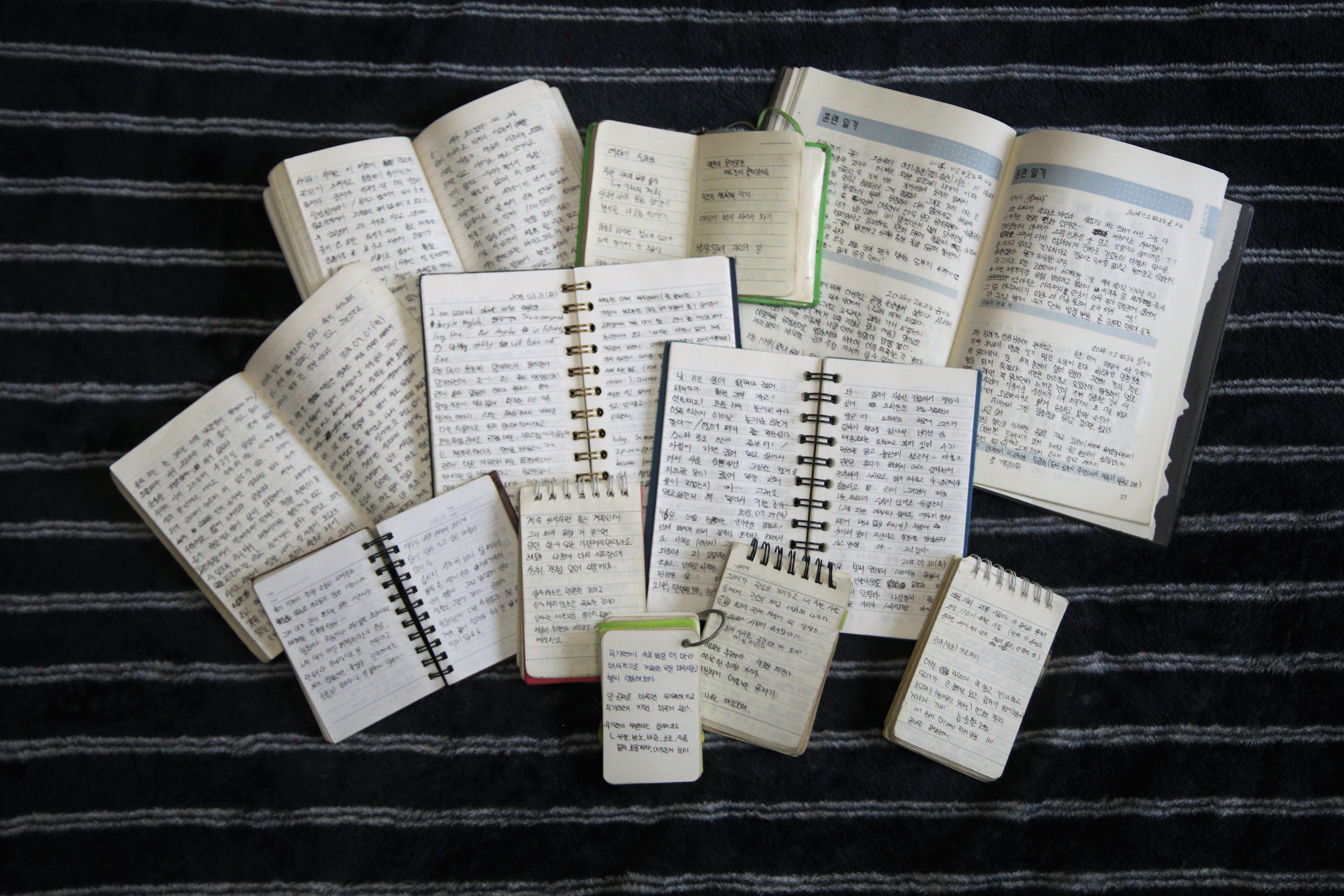 Diary in military service