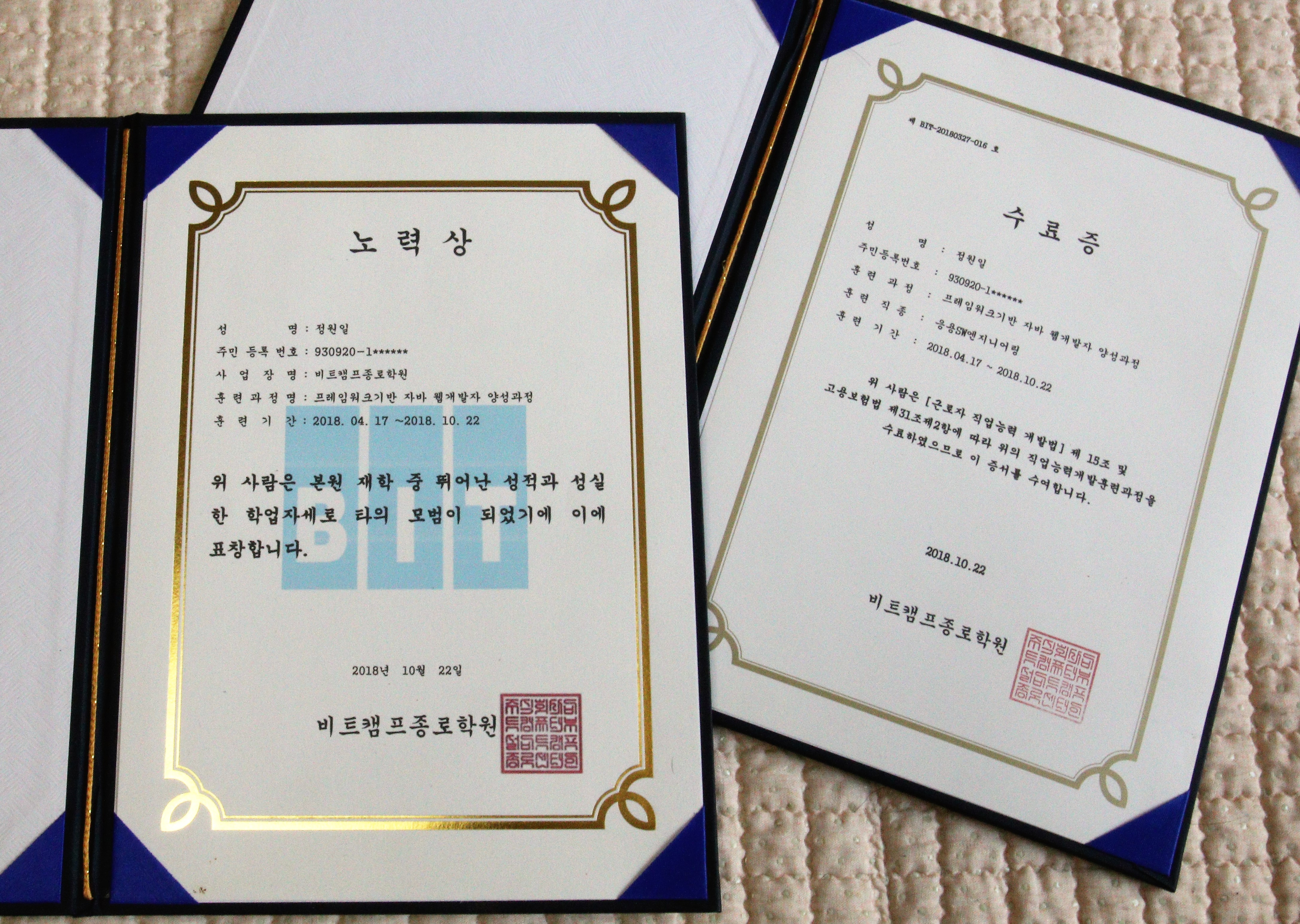 Prize in recognition of my effort.